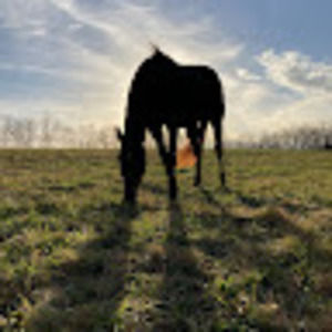 Meet your Posher, Anne